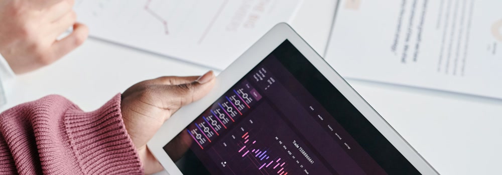 ERP and technology consulting service